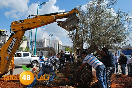 a3malteybeortlud (23).jpg